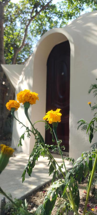 Done Right Hostel Phumi Chrouy Svay Екстериор снимка